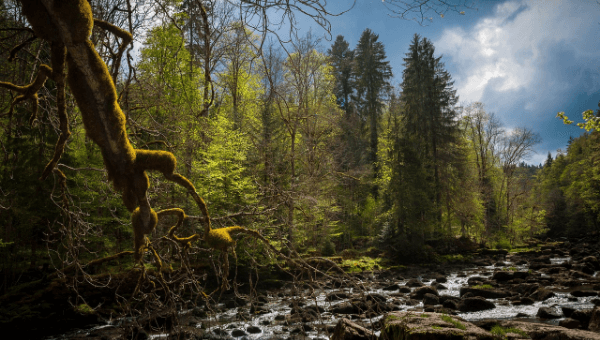 photo randonnée jura Suisse